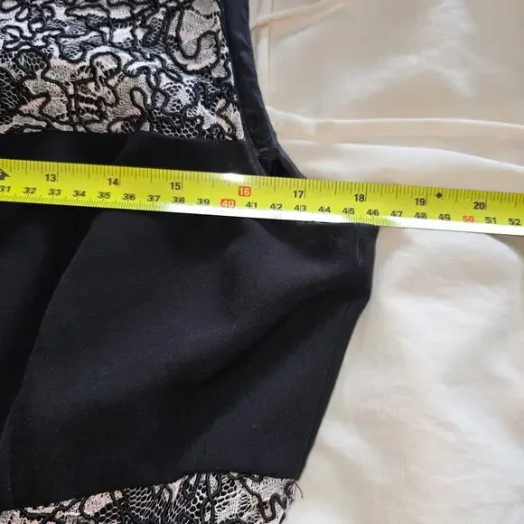 Tahari L32016 Women's Black Lace Zipper Stripe Fit Flare Cocktail Dress Size 10P - Picture 6 of 10